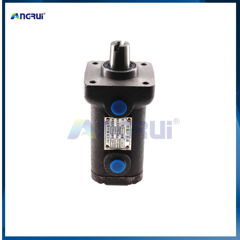 ANGRUI 适用于波拉POLAR切纸机油泵 双联叶片油泵  上海申威达 切纸机配件
